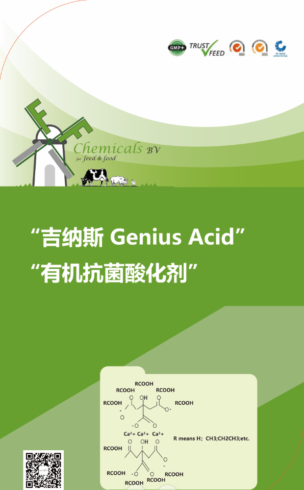 吉纳斯 Genius Acid